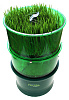 Tribest Freshlife FL-3000 - автоматический проращиватель (Green) купить в интернет-магазине icover
