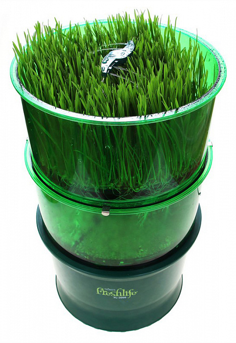 Tribest Freshlife FL-3000 - автоматический проращиватель (Green) купить в интернет-магазине icover