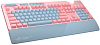 Игровая клавиатура Asus ROG Strix Flare 90MP00M0-B0RA04 (Pink) купить в интернет-магазине icover