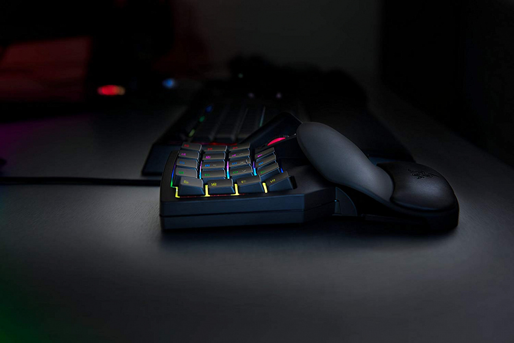 Игровая клавиатура Razer Tartarus V2 RZ07-02270100-R3M1 (Black) купить в интернет-магазине icover