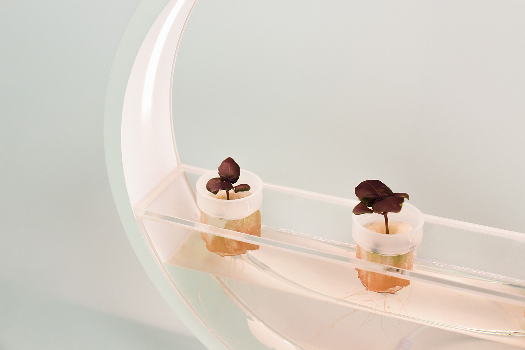 Садовая ферма VegeBox (White) купить в интернет-магазине icover