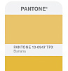 Pantone FHI Color Guide (FGP200) - цветовой справочник купить в интернет-магазине icover