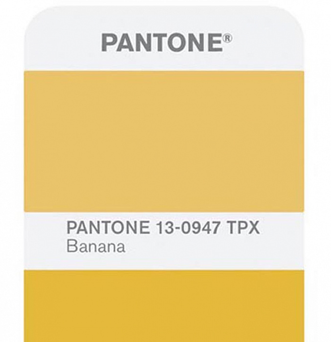 Pantone FHI Color Guide (FGP200) - цветовой справочник купить в интернет-магазине icover
