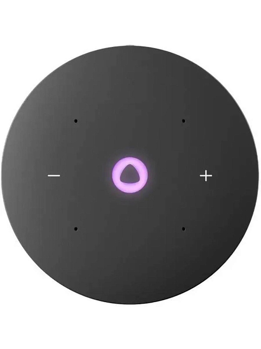 Умная колонка Яндекс Станция Мини 3 YNDX-00027 (Grey) купить в интернет-магазине icover