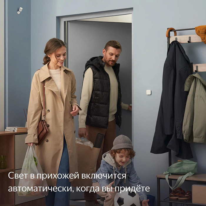 Датчик движения и освещения Яндекс (YNDX-00522) с Zigbee (White) купить в интернет-магазине icover