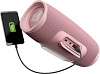 Комплект JBL Charge 4 + JBL T110BT (Pink/Blue) купить в интернет-магазине icover