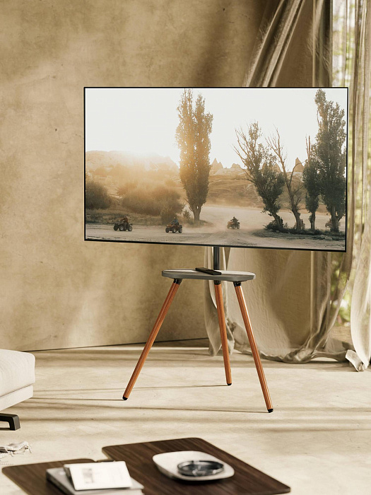 Стойка для телевизора с кронштейном Ridberg FS28-44F-04 (Black) купить в интернет-магазине icover