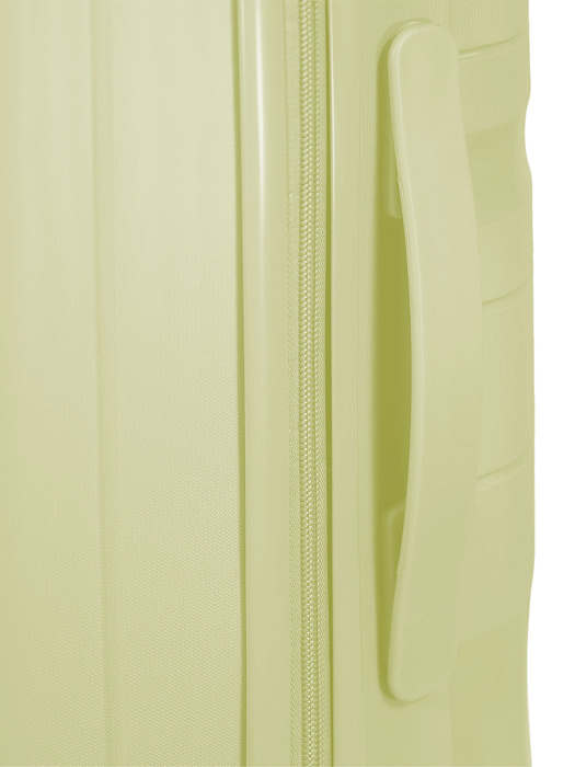 Чемодан Ridberg ICON (Yellow) размер S купить в интернет-магазине icover