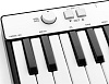 MIDI-клавиатура IK Multimedia iRig Keys MINI (Black) купить в интернет-магазине icover