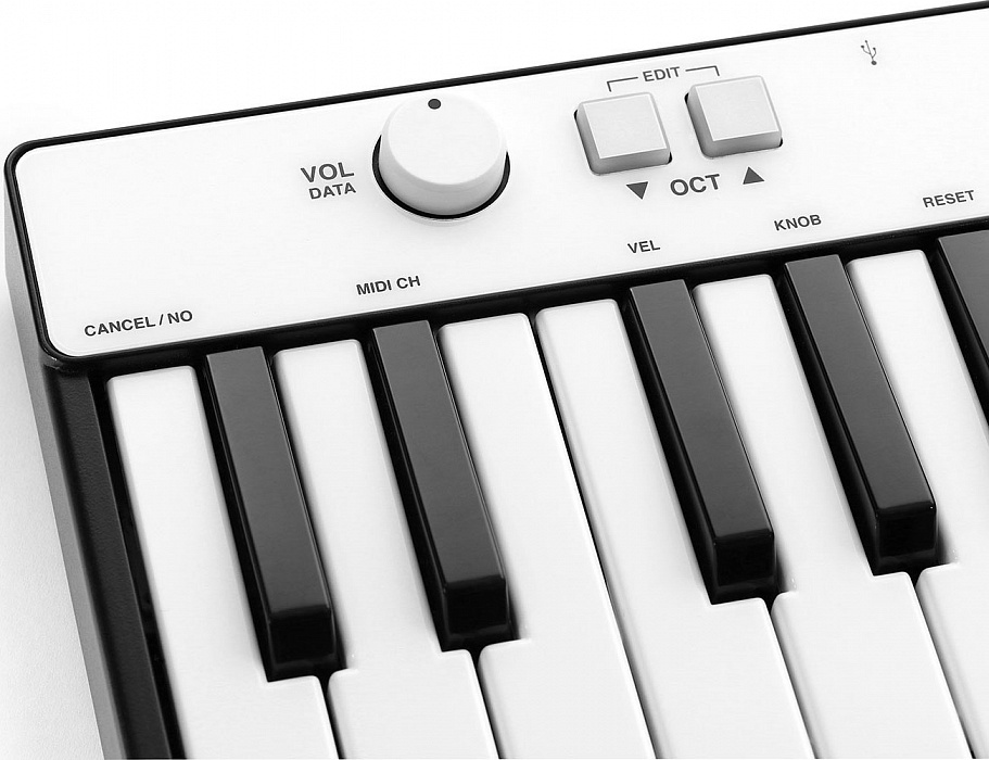 MIDI-клавиатура IK Multimedia iRig Keys MINI (Black) купить в интернет-магазине icover