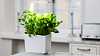 Умный сад Tregren T3 Kitchen Garden (White) купить в интернет-магазине icover
