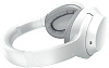 Беспроводные наушники Razer Opus X RZ04-03760200-R3M1 (Mercury) купить в интернет-магазине icover