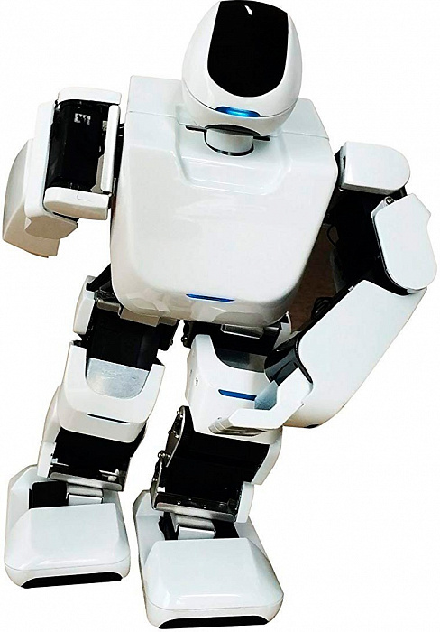Робот Leju Aelos 1S 1CSC20003638 (White) купить в интернет-магазине icover