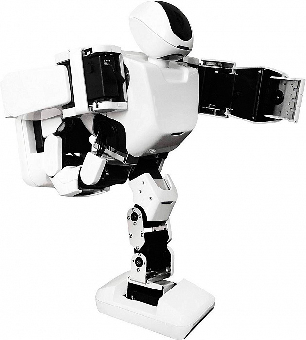Робот Leju Aelos 1S 1CSC20003638 (White) купить в интернет-магазине icover