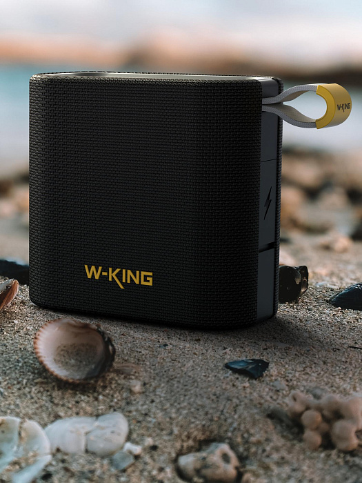 Колонка портативная W-KING D2 (Black) купить в интернет-магазине icover