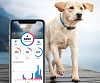 GPS-трекер Tractive TRDOG1 для собак (Black) купить в интернет-магазине icover