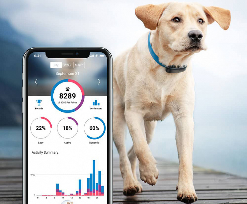 GPS-трекер Tractive TRDOG1 для собак (Black) купить в интернет-магазине icover