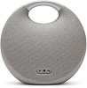 Акустическая система Harman/Kardon Onyx Studio 5 (Grey) купить в интернет-магазине icover