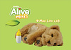 WowWee Alive Mini Lion Cub (01.03.9200) - интерактивная игрушка купить в интернет-магазине icover