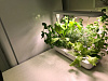Домашняя ферма VegeBox T-Box (White) купить в интернет-магазине icover