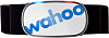 Пульсометр Wahoo TICKR 2 WFBTHR04 (White) купить в интернет-магазине icover