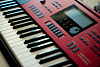 Casio CTK-6250 - синтезатор (Black) купить в интернет-магазине icover