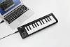 MIDI-клавиатура Korg Microkey 25 (Black) купить в интернет-магазине icover