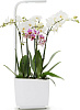 Умный сад Tregren T3 Kitchen Garden (White) купить в интернет-магазине icover