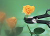 Fiskars S10 (111160) - ножницы с захватом (Black) купить в интернет-магазине icover
