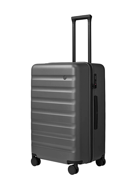 Чемодан NinetyGO Rhine 2.0 28" 10100100510K800300 (Grey) купить в интернет-магазине icover