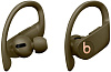 Bluetooth-наушники с микрофоном Beats Powerbeats Pro MV712EE/A (Moss) купить в интернет-магазине icover