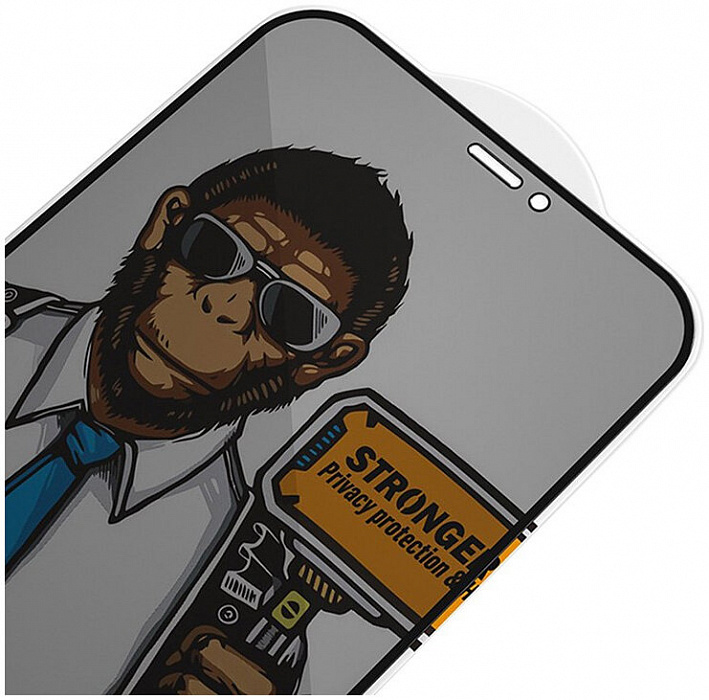 Защитное стекло Blueo 2.5D Silk Full Cover Anti-Peep (NPB14-5.4) для iPhone 12 mini (Black) купить в интернет-магазине icover