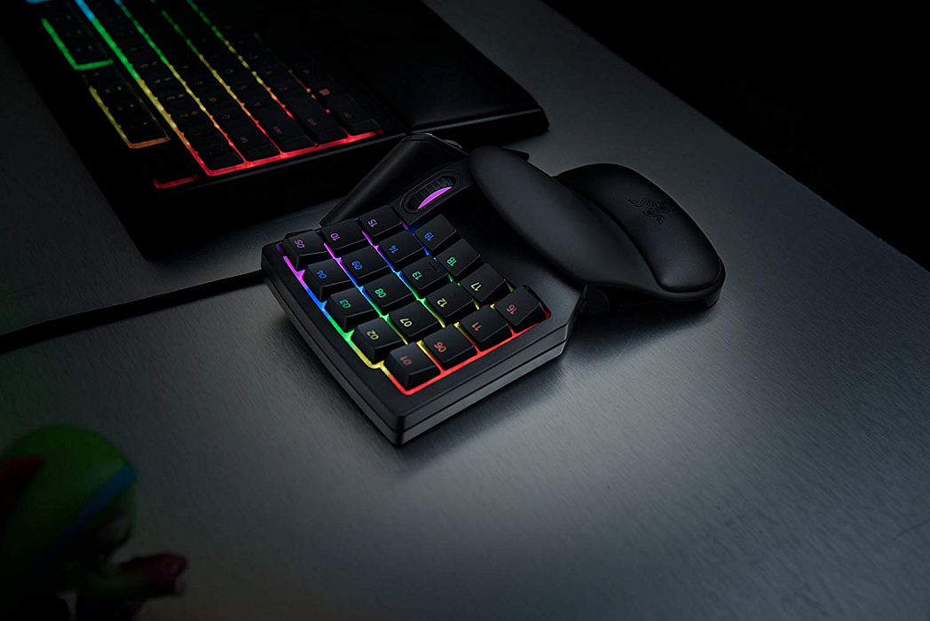 Игровая клавиатура Razer Tartarus V2 RZ07-02270100-R3M1 (Black) купить в интернет-магазине icover