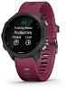Умные часы Garmin Forerunner 245 GPS 010-02120-11 (Black/Berry) купить в интернет-магазине icover