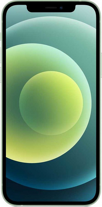 Смартфон Apple iPhone 12 64Gb MGJ93RU/A (Green) купить в интернет-магазине icover