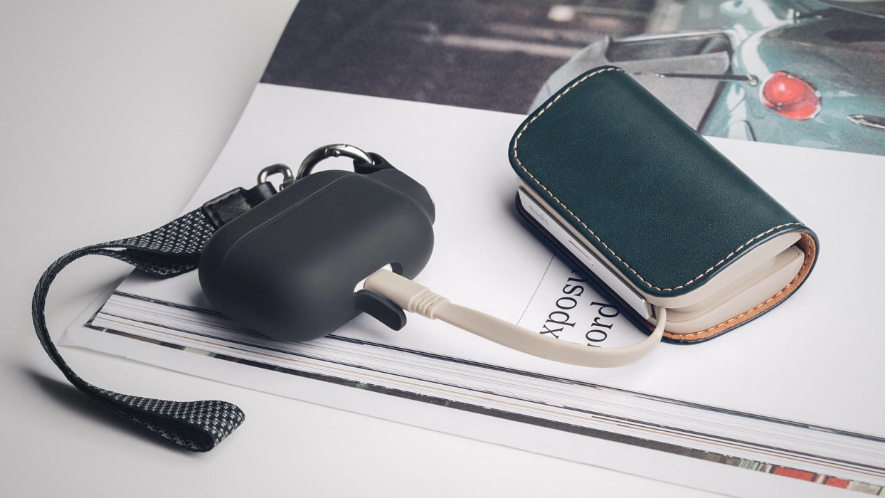 Внешний аккумулятор Moshi IonGo 5K (99MO022019) USB-A/Lightning (Azure Blue) купить в интернет-магазине icover