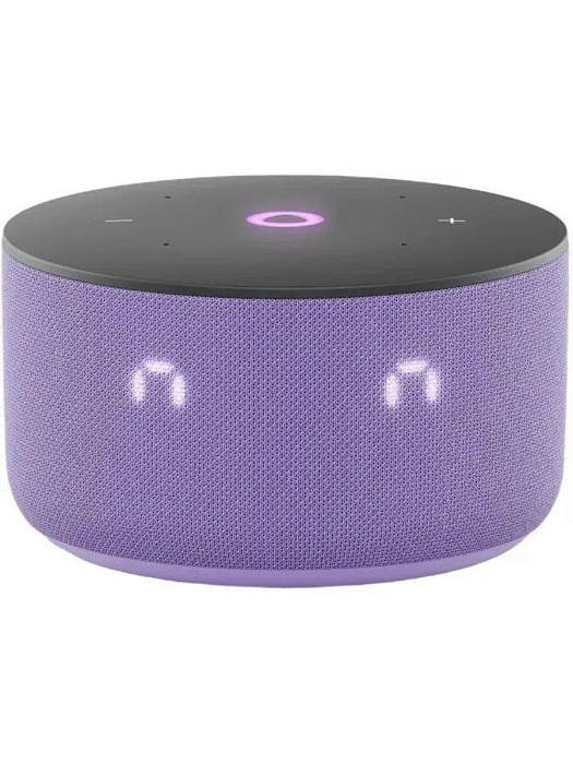 Умная колонка Яндекс Станция Мини 3 YNDX-00027 (Purple) купить в интернет-магазине icover