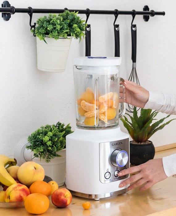 Блендер Garlyn S-300 (White) купить в интернет-магазине icover