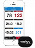 Датчик скорости Wahoo RPM Speed Sensor (WFRPMSPD) для велосипеда купить в интернет-магазине icover