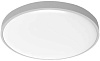 Потолочная лампа Yeelight Ceiling Light C2001C550 550mm (YLXD037) купить в интернет-магазине icover