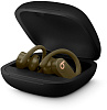 Bluetooth-наушники с микрофоном Beats Powerbeats Pro MV712EE/A (Moss) купить в интернет-магазине icover