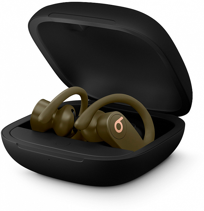 Bluetooth-наушники с микрофоном Beats Powerbeats Pro MV712EE/A (Moss) купить в интернет-магазине icover