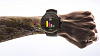 Умные часы Suunto Spartan Ultra SS022661000 (White) купить в интернет-магазине icover