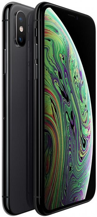 Смартфон Apple iPhone Xs Max 64Gb MT502RU/A (Space Gray) купить в интернет-магазине icover