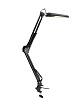 Настольная светодиодная лампа Ridberg LDL25-2 (Black) купить в интернет-магазине icover