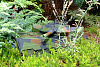 Hobby Engine Leopard 2A5-2A6 1:16 (0807) - радиоуправляемая модель танка купить в интернет-магазине icover