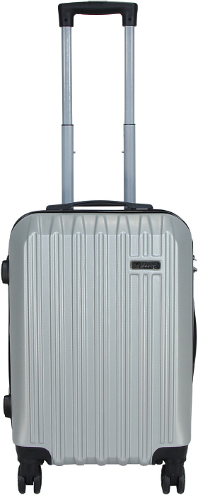 Комплект чемоданов Ridberg Discover L+M (Grey) купить в интернет-магазине icover
