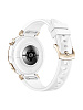 Умные часы Huawei Watch GT 5 Pro JNA-B29 (White) купить в интернет-магазине icover