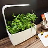 Умный сад Tregren T6 Kitchen Garden (White) купить в интернет-магазине icover