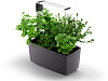Умный сад Tregren T6 Kitchen Garden (Grey) купить в интернет-магазине icover
